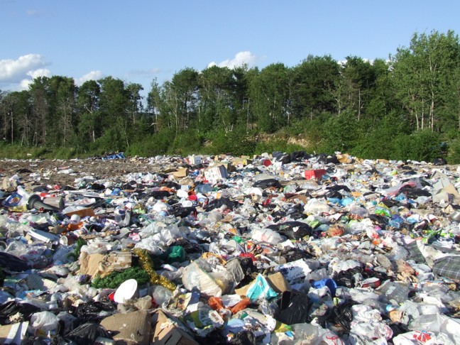 40-Yard Roll-Off Dumpster Rental in Canyon Lake, TX